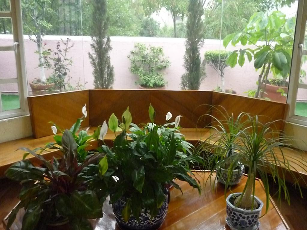 Casona Roma Norte Mexikóváros Kültér fotó